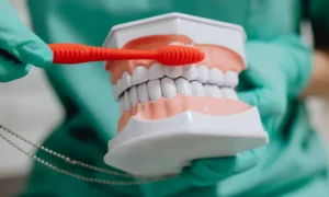 Understanding Gum Disease as a Health Issue in Los Altos, CA
